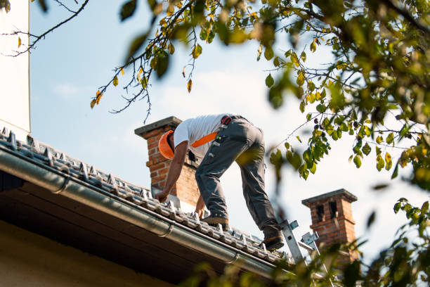 Best Roofing for New Construction  in Trenton, MI