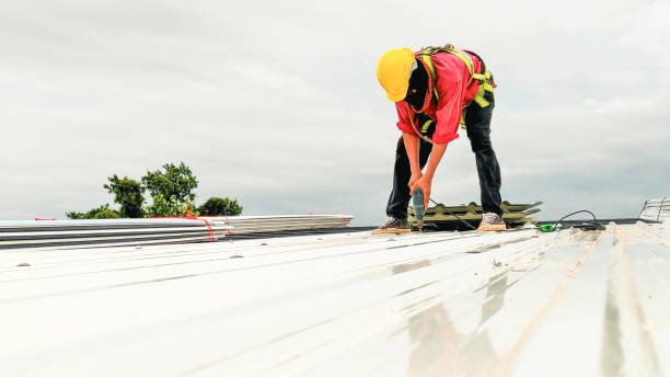 Best Rubber Roofing (EPDM, TPO)  in Trenton, MI