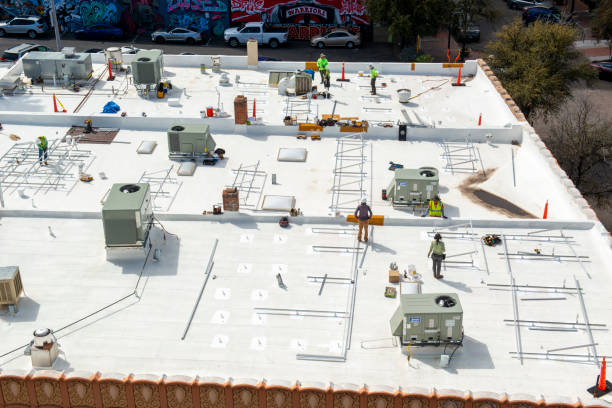 Best Roof Coating and Sealing  in Trenton, MI